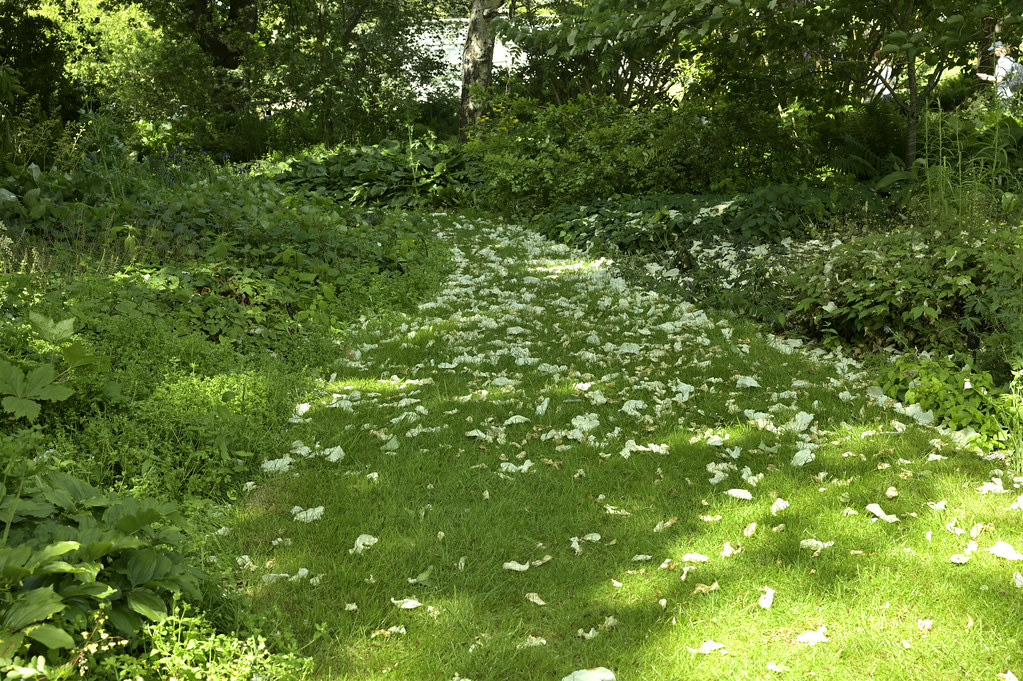 A Bank Holiday Munday stroll in the sunshine at Kew Garden… Flickr