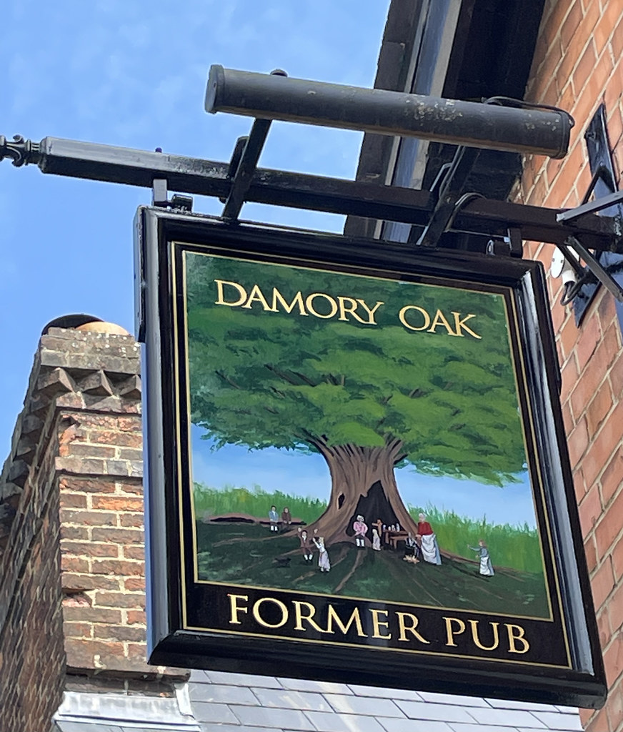 Blandford, Dorset. Damory Oak. Blandford, Dorset Paul Kelly 2012