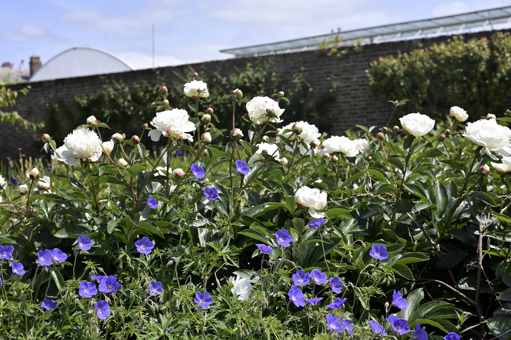 A Bank Holiday Munday stroll in the sunshine at Kew Garden… Flickr
