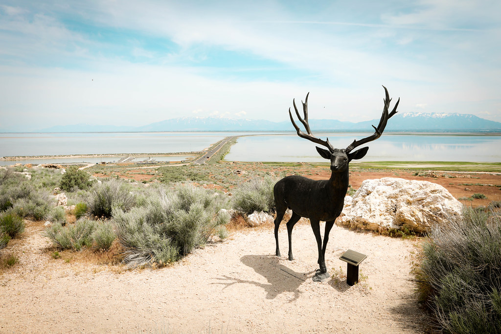 Antelope Island Utah 2023 nightsurfing Flickr