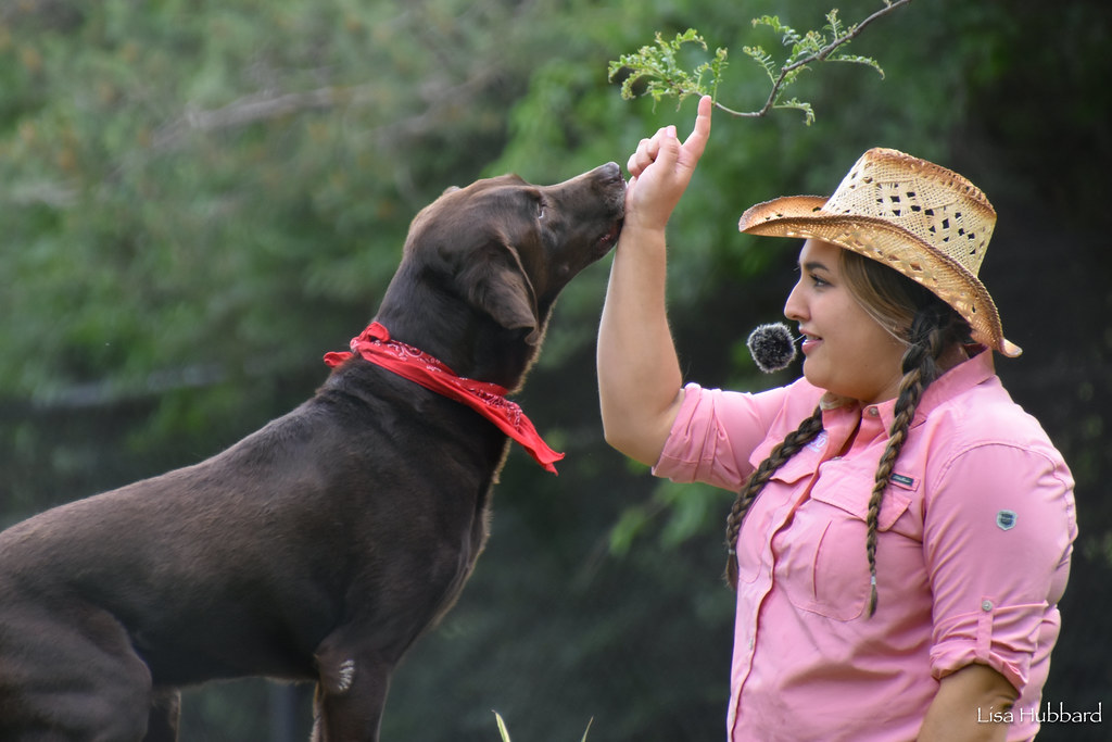 DSC_8429.jpg Lisa Hubbard Flickr