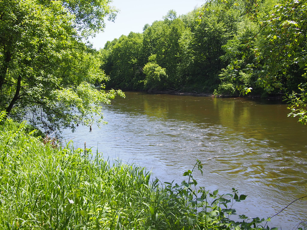 P1010003 Red Cedar River, Wisconsin. Howard W. Morris Flickr