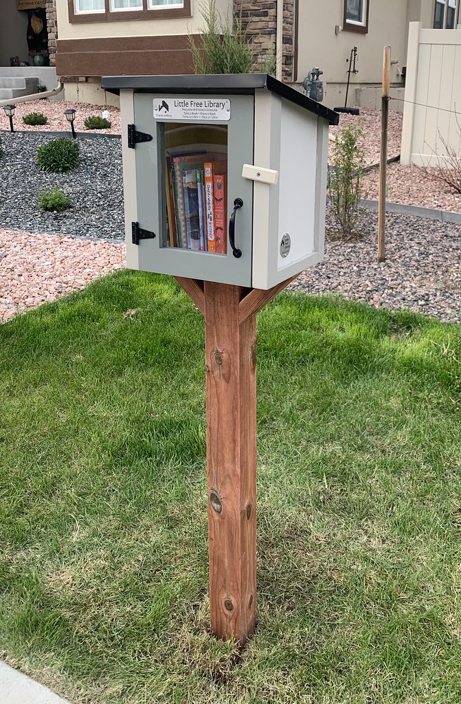 Hannah's Little Library hannah Dunn Flickr
