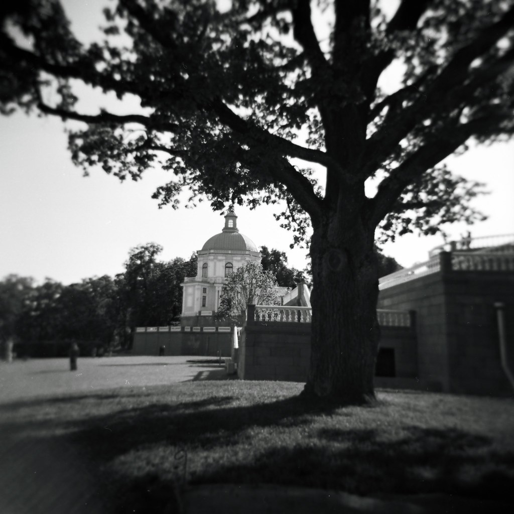 Holga 120gn, ilford fp 4 Anna MasLova Flickr