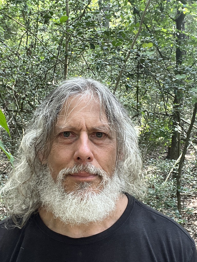 Untitled Michael Gold Flickr