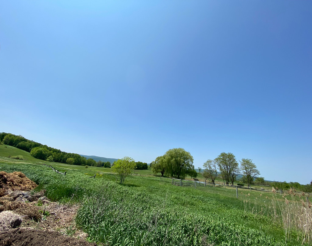 Beekman Farms in Sharon Springs, NY trip May 2023 Dean Keim Flickr