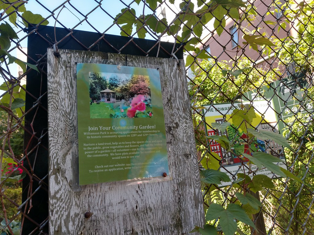 williamson park community garden Williamson Park. Centra… Flickr