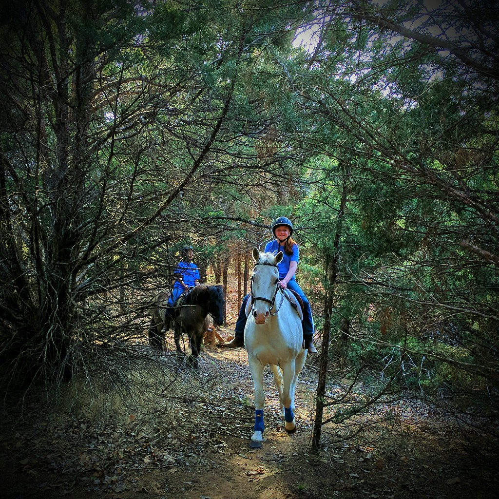 Trail Ride Art of Horsemanship LLC J. Hustis Flickr