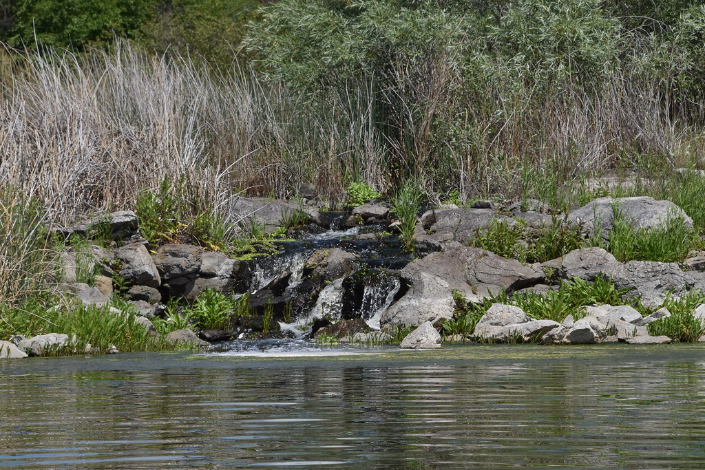 Nature Shots of Coffee Pot Lake May 2023 Melissa Carlson Flickr