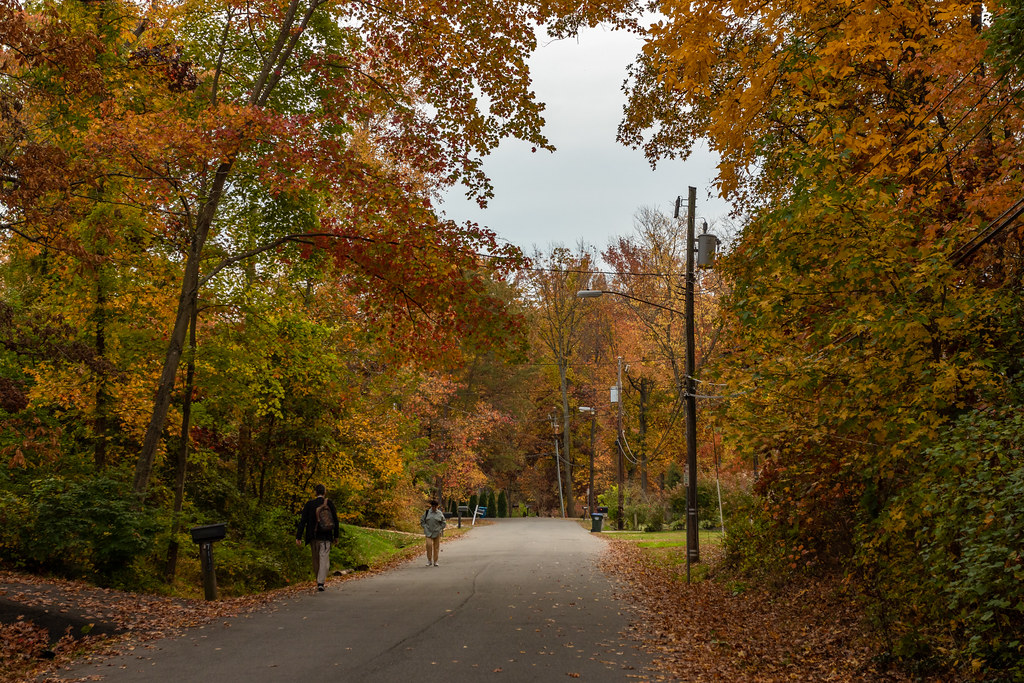 Path to FranconiaSpringfield Metro Station Franconia, Vir… Travel