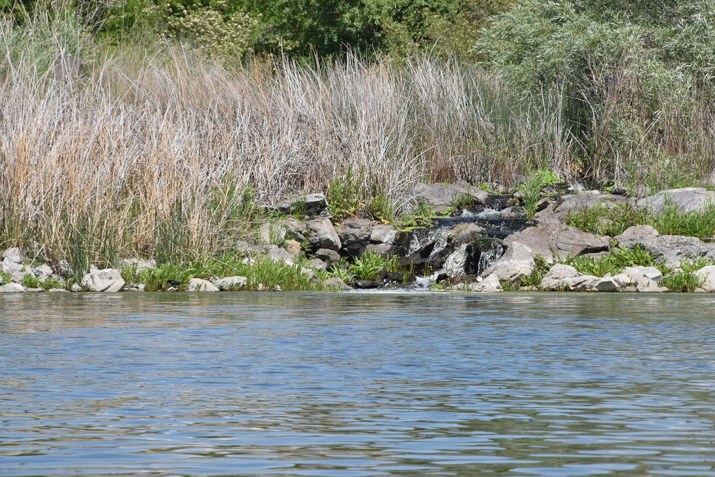 Nature Shots of Coffee Pot Lake May 2023 Melissa Carlson Flickr