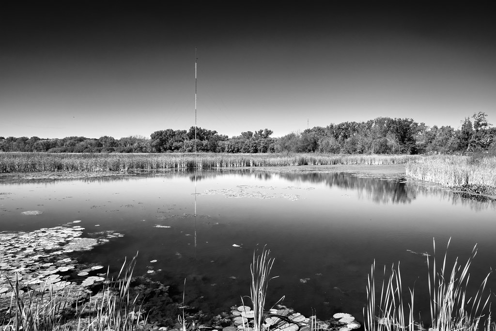 Small pond near the Cannonball Path In Madison, WI Chris Rycroft