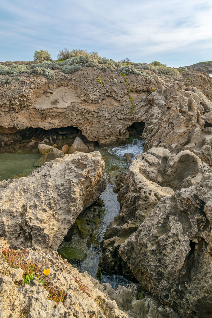 Old Aquariums, Warrnambool, Victoria, Australia We drove f… Flickr