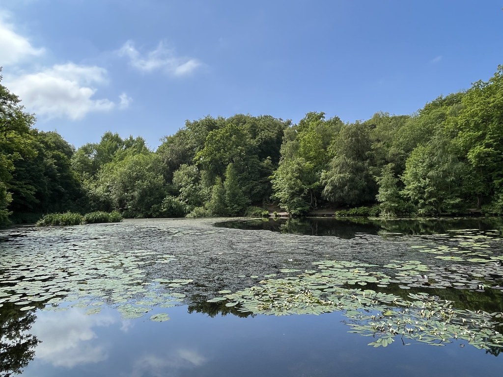 Keston Ponds andy hebden Flickr
