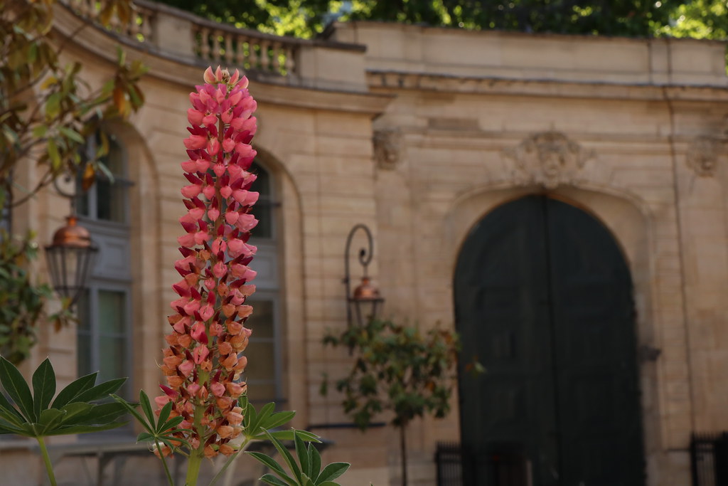 Hôtel de Roquelaure côté cour l ’hôtel de Roquelaure dress… Flickr