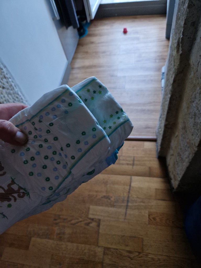 6813038800 Diaper Couche Flickr