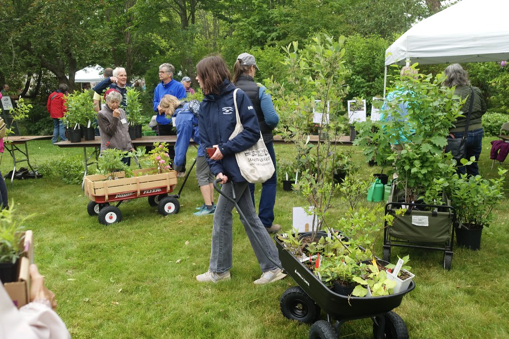 Rhode Island Wild Plant Society Annual Plaant Sale at theU… Flickr