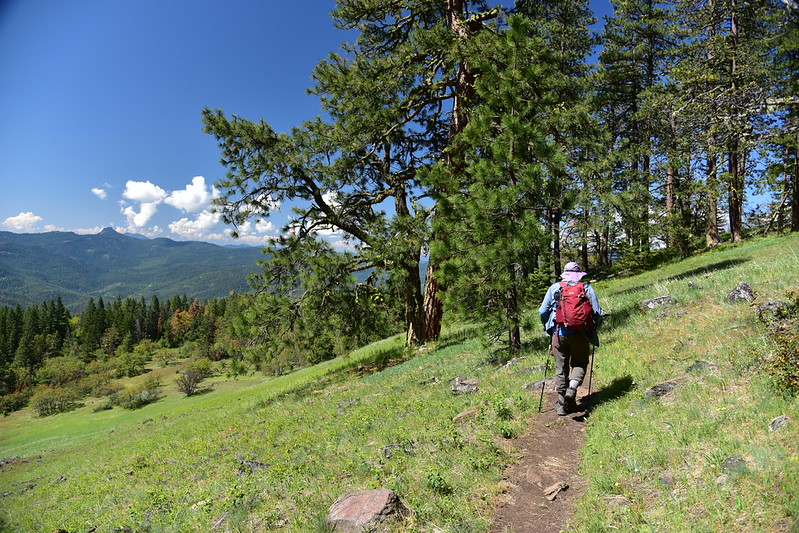 Green Springs Mountain Loop Just Peachy