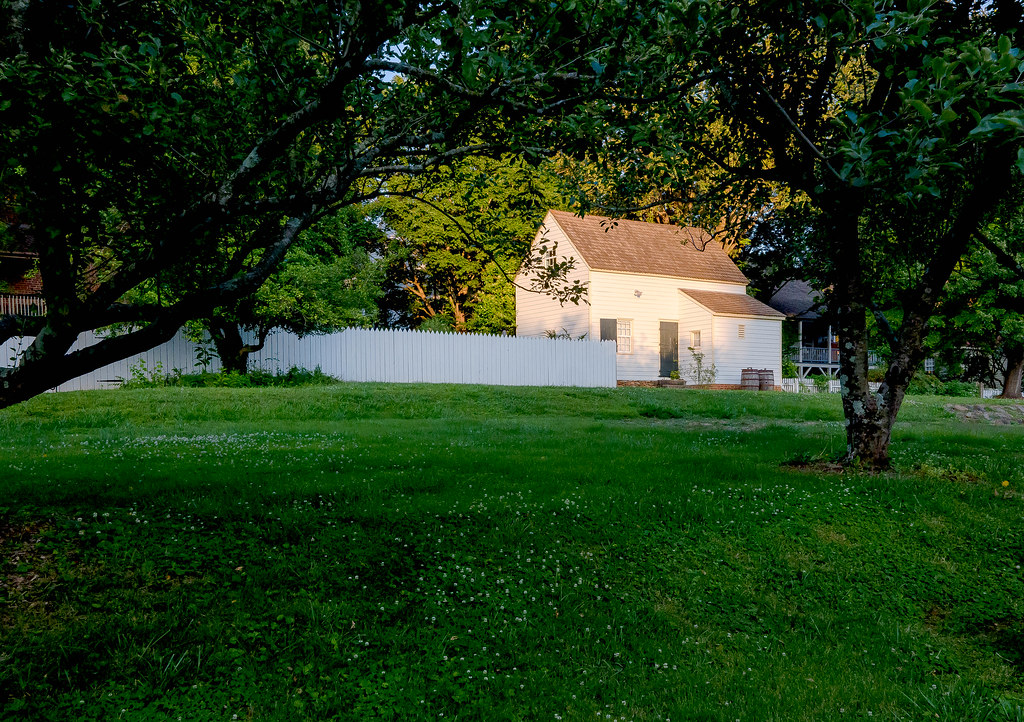 L1050134.jpg James Allison Flickr