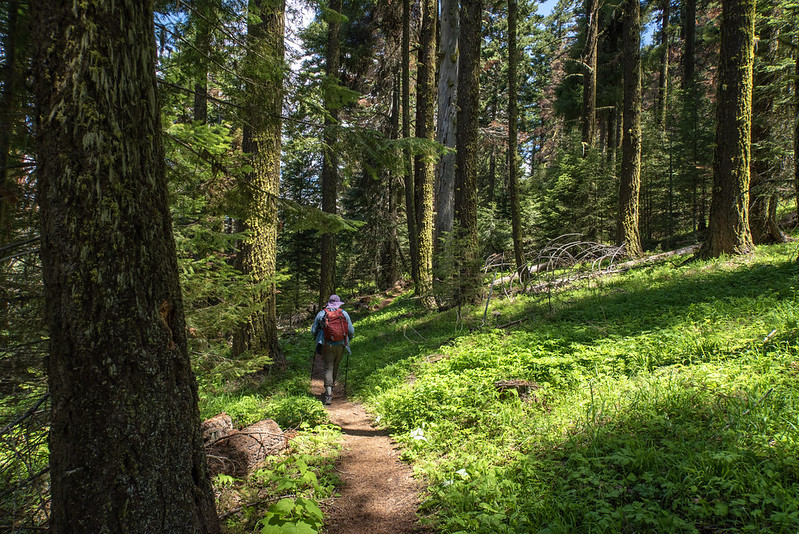 Green Springs Mountain Loop Just Peachy