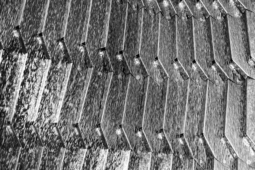 Manukau 82 Manukau City Shopping Centre Charlie van de Graaf Flickr