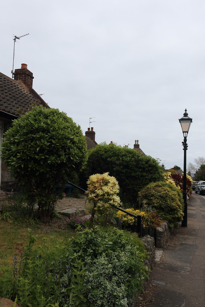 Cottown of Balgownie,Bridge of Don,Aberdeen_jun 23_9319 Flickr