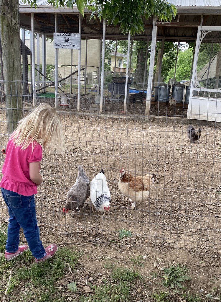 BRU 05192023 Storytime at Hope Valley Farm Frederick County Public Libraries Flickr