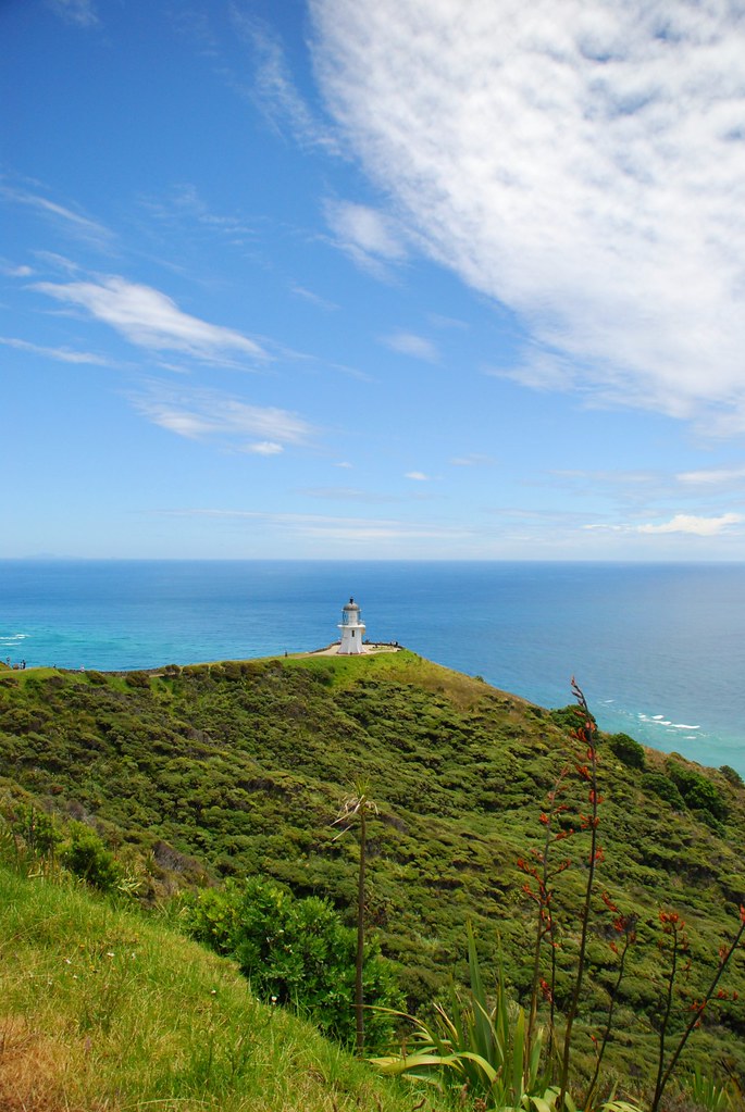 Cape Reinga 27 Cape Reinga / Te Rerenga Wairua, Far North,… Flickr