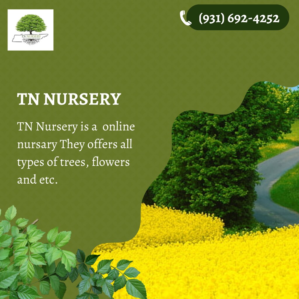 TN Nursery TN Nursery offers various plants suitable for d… Flickr