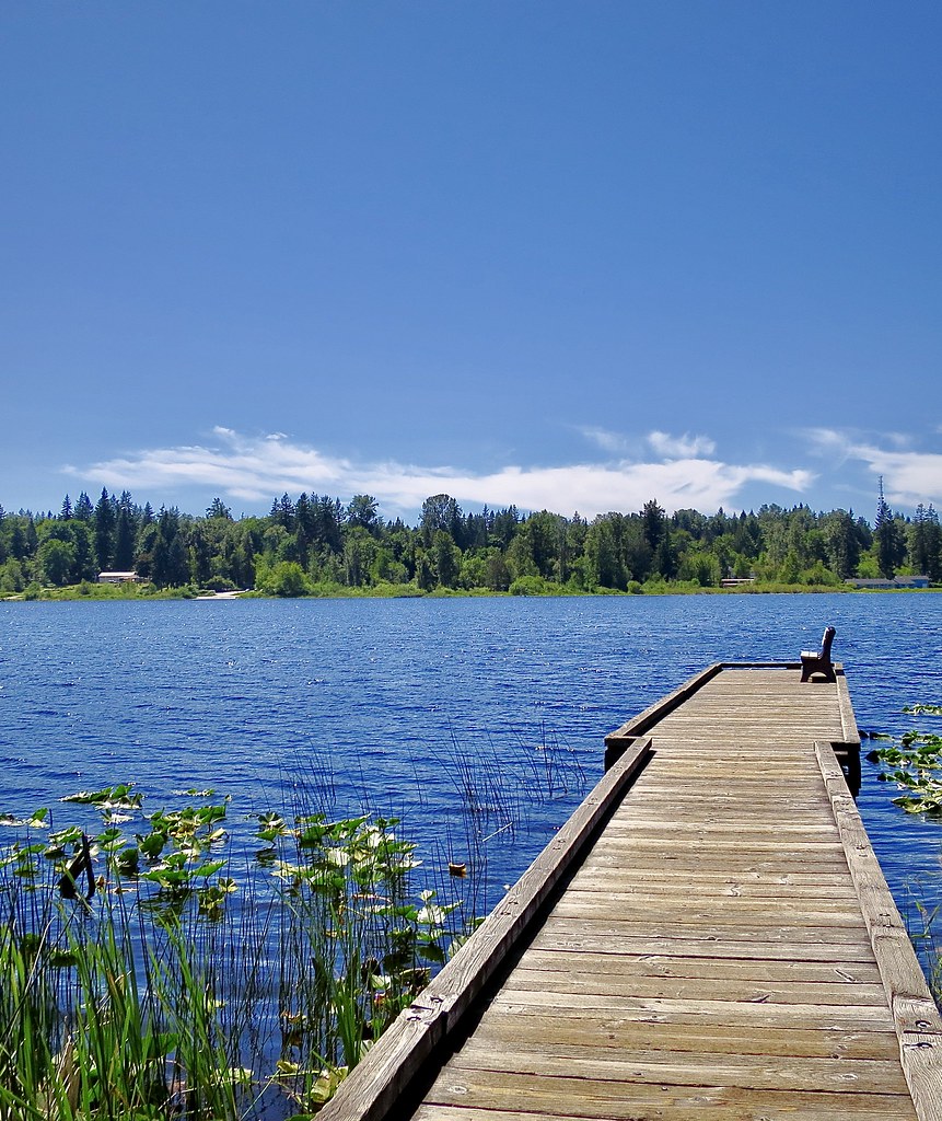 IMG_1464.JPG A dock at Lake Cassidy, WA, view to the west.… Oxbow