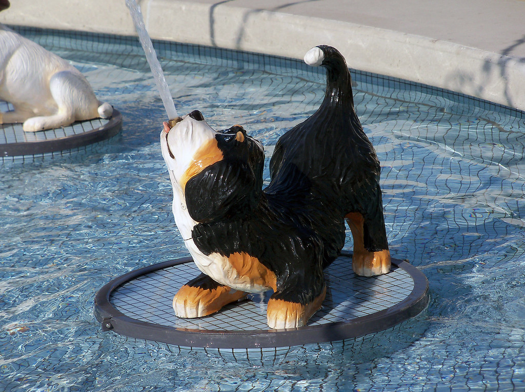 OH Mt Vernon Dog Fountain 25 The Dog Fountain in Mt Vern… Flickr