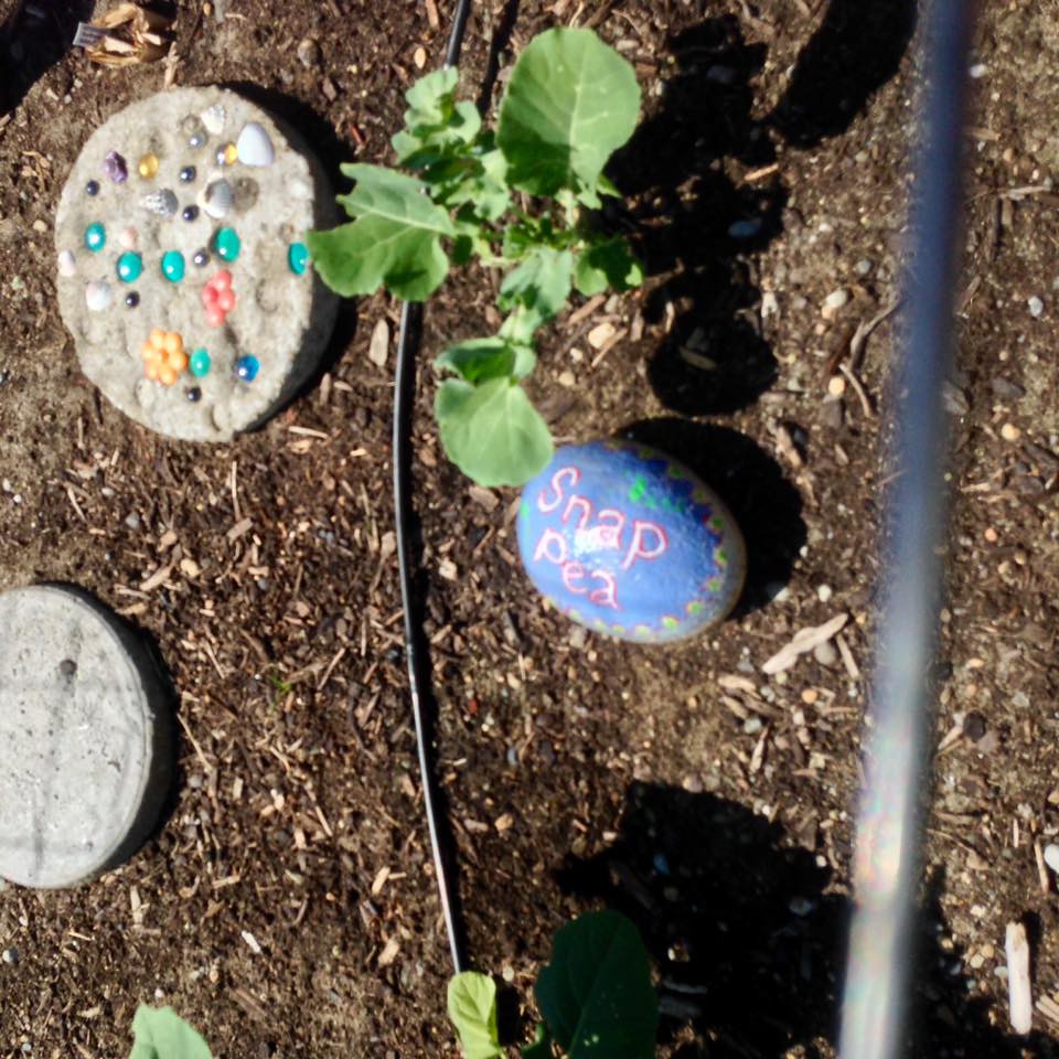 WA Bremerton Painted Rock Plant Markers at Blueberry P… Flickr