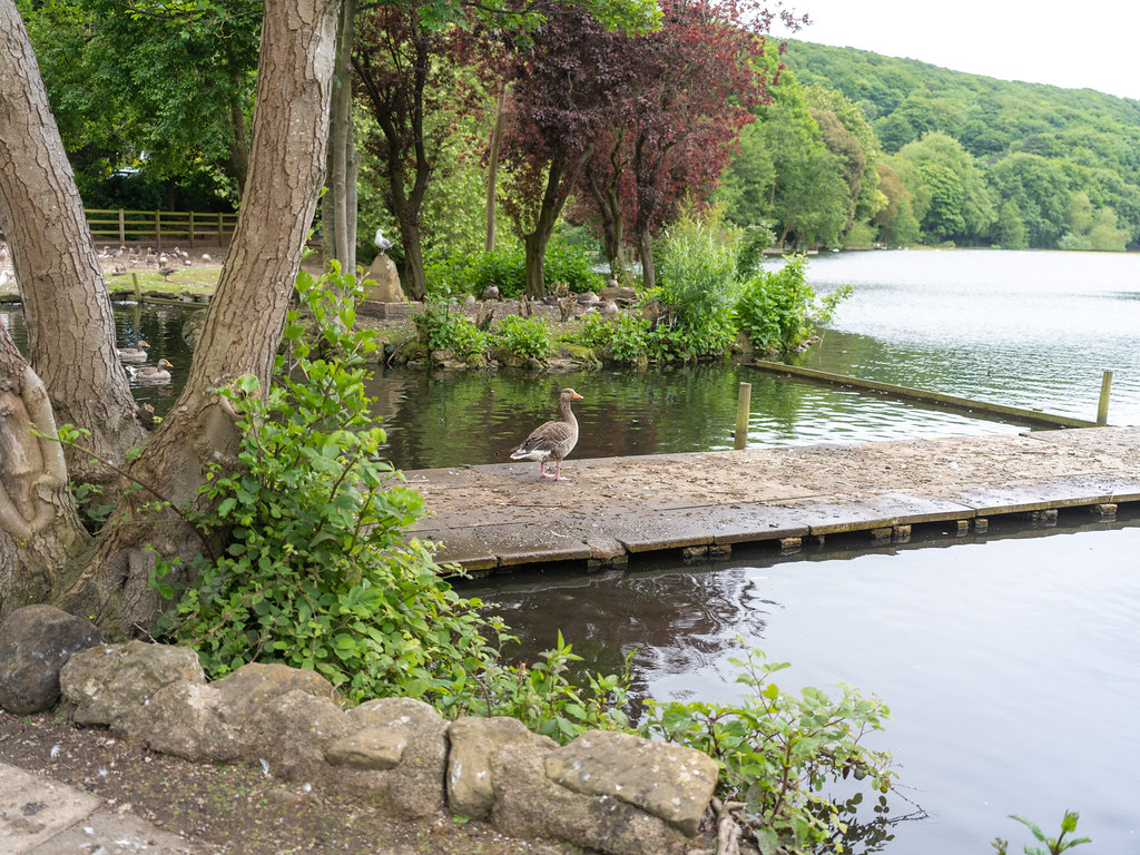 The Mere Scarborough Robert J Smith Flickr