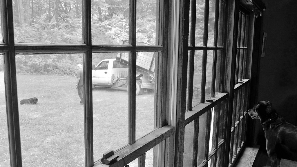 house of mirrors came downstairs during the wood dump to s… Flickr