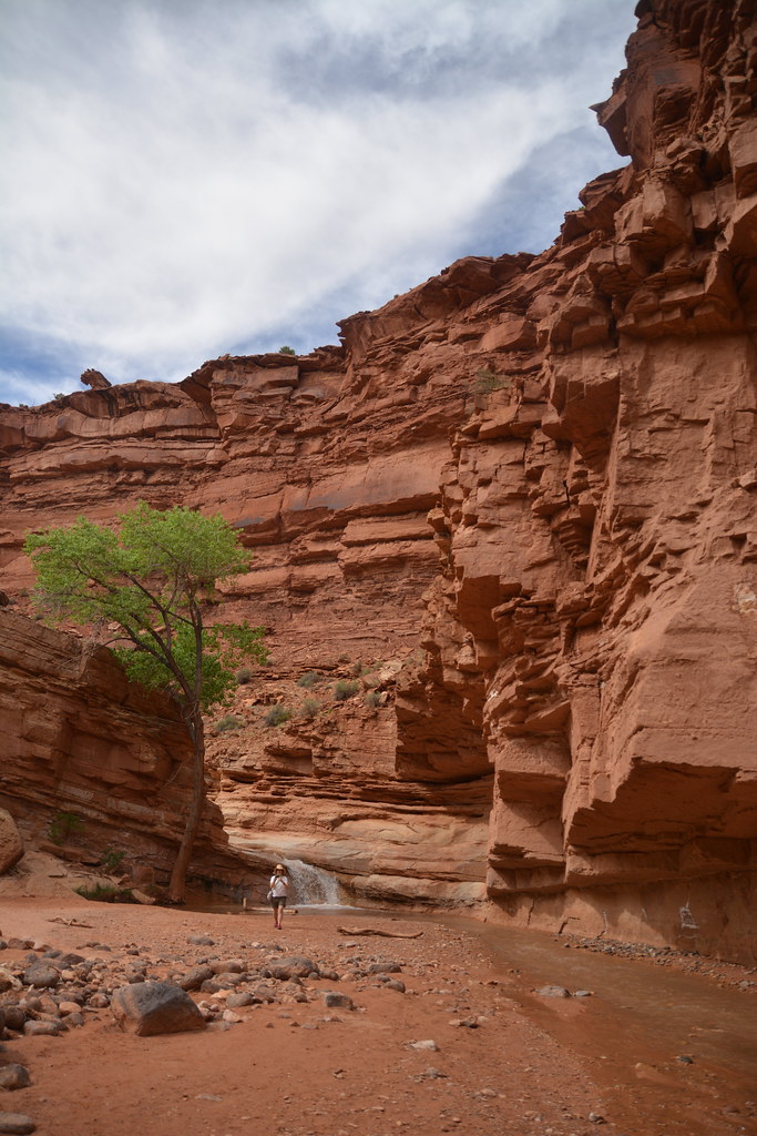 Sulfur Creek Canyon. Capitol Reef National Park, Utah Flickr