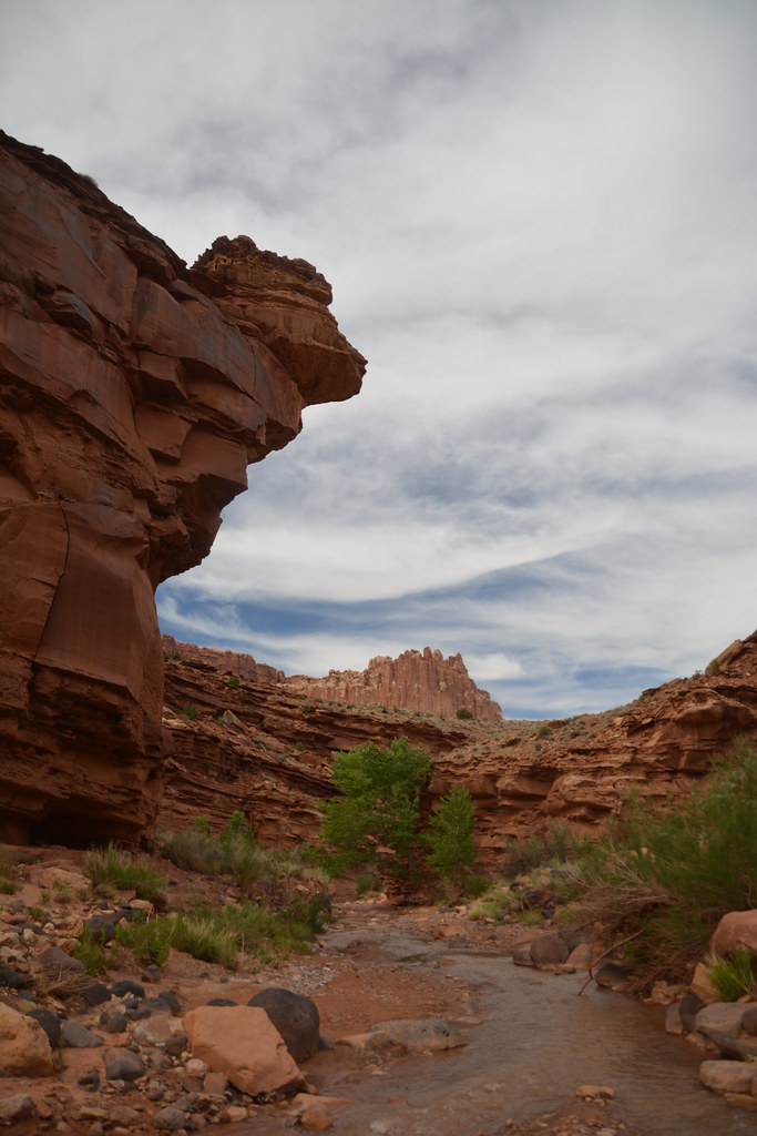 Sulfur Creek Canyon. Capitol Reef National Park, Utah Flickr