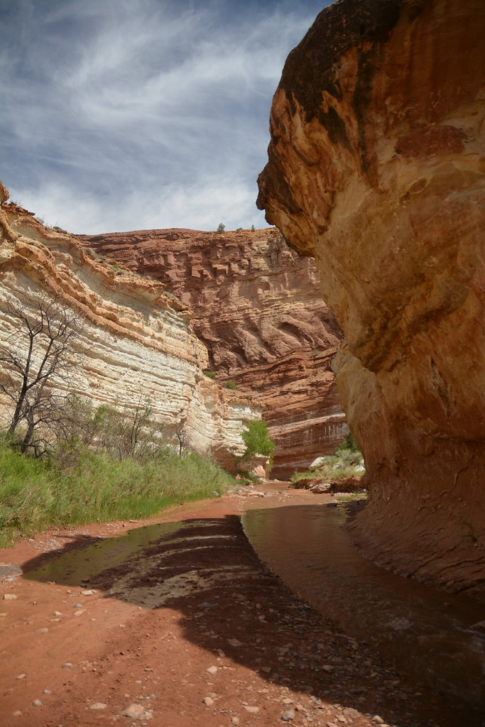 Sulfur Creek Canyon. Capitol Reef National Park, Utah Flickr