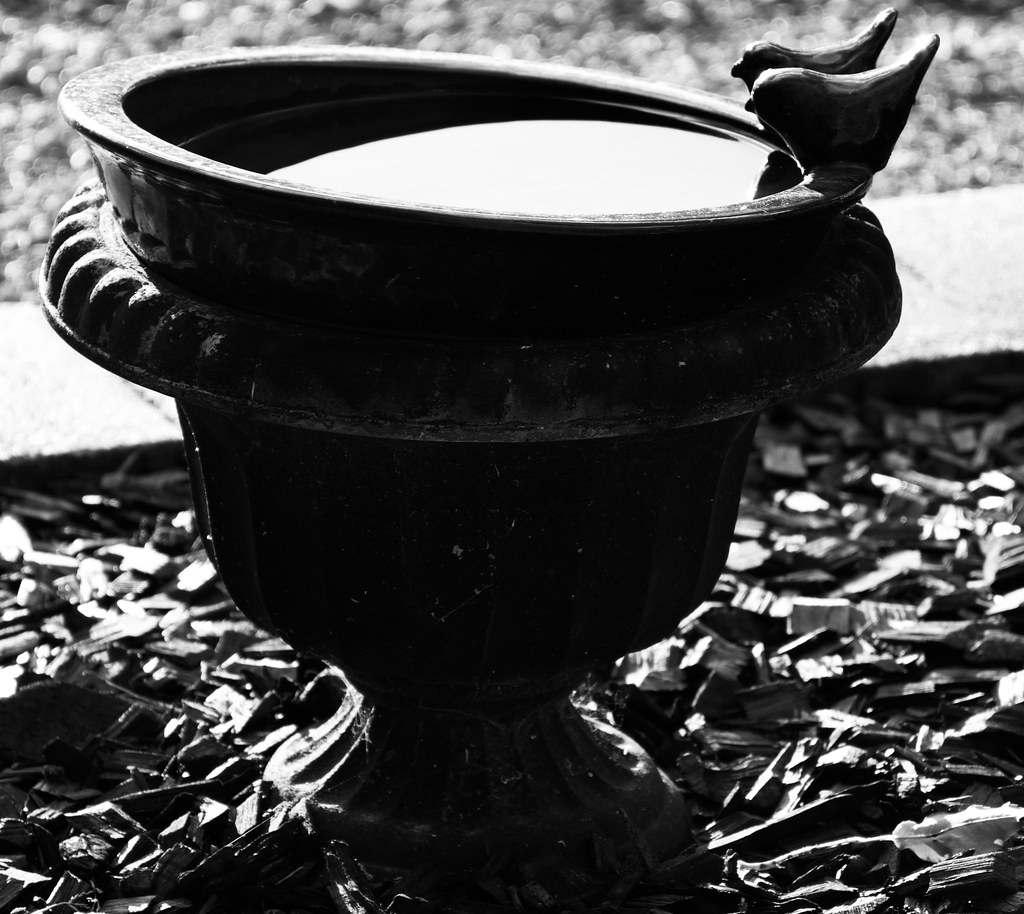 BIRD BATH Graham Hine Flickr