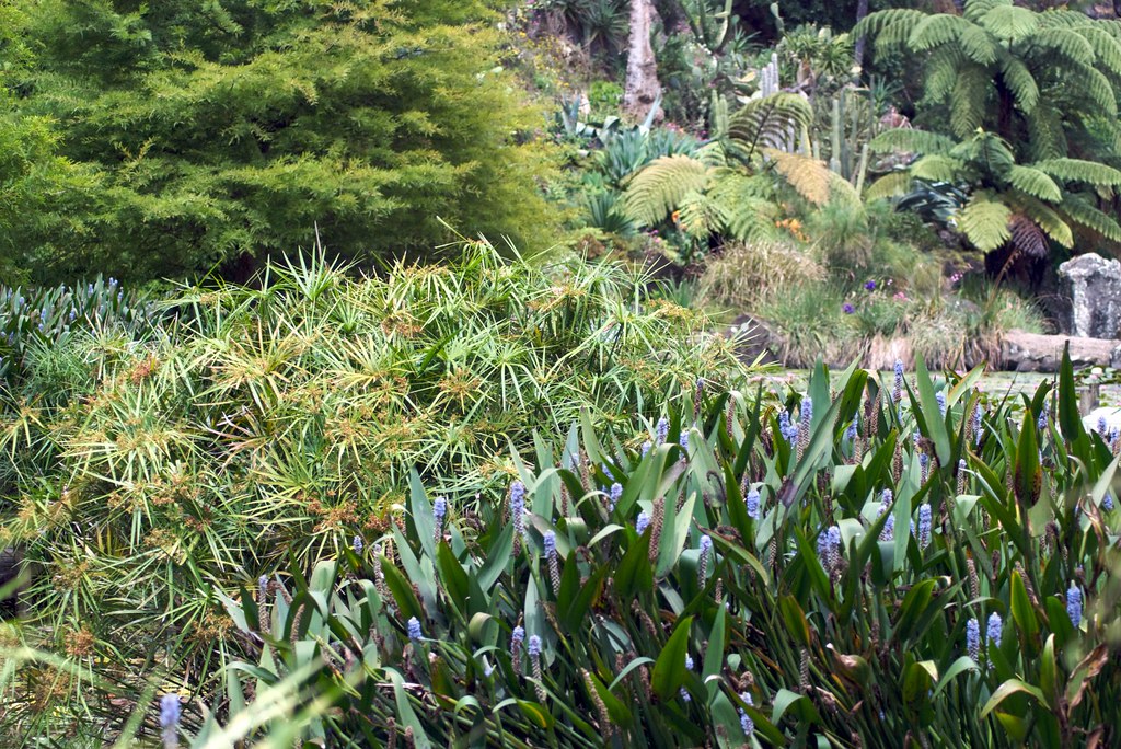 Wrights Watergardens 193 Wrights Watergardens, Patumahoe Flickr
