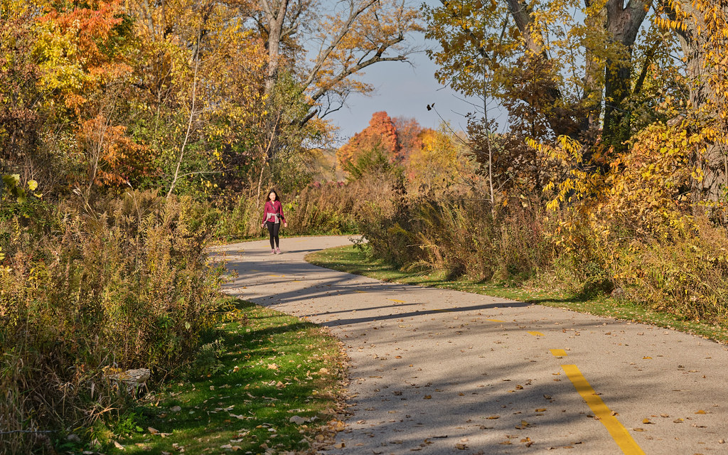 DSCF6601 At the Hastings Lake Forest Preserve, Lake Villa,… Flickr