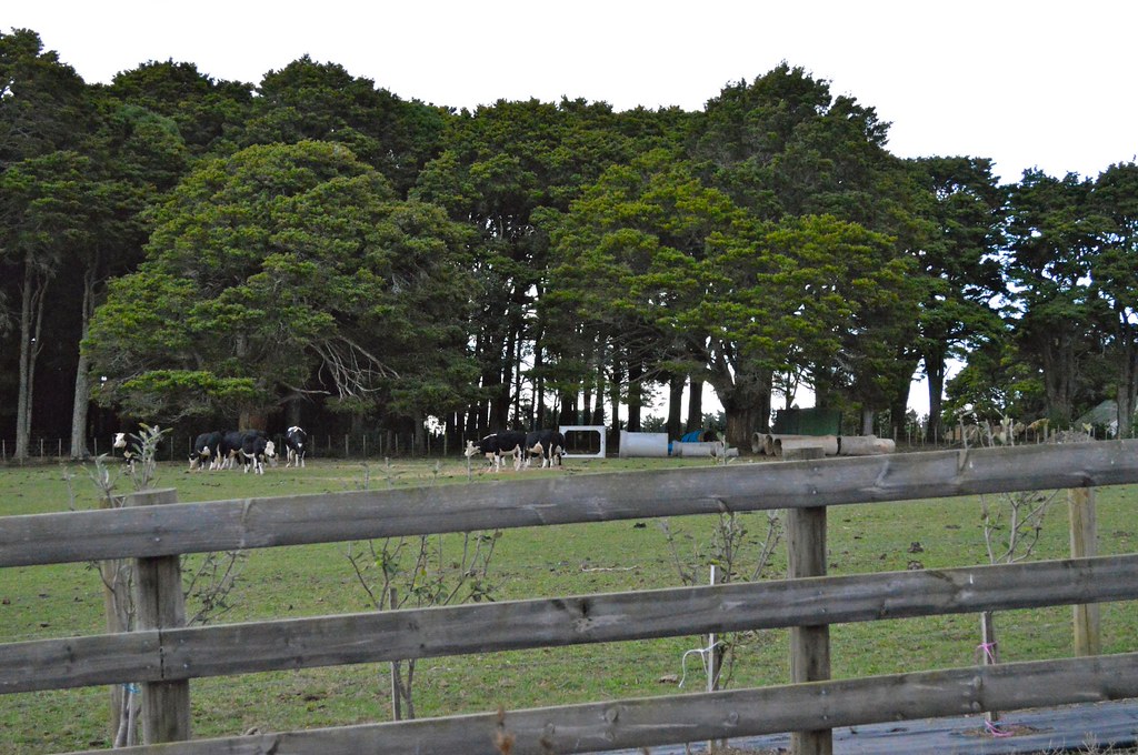 Storey Road 5 Storey Road, Waiuku Charlie van de Graaf Flickr