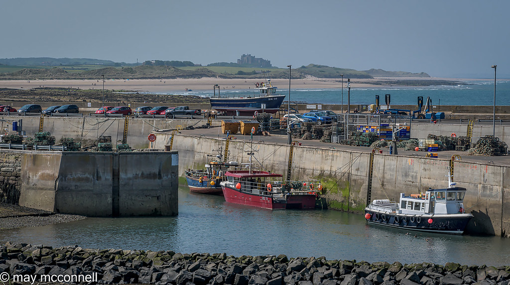 North Sunderland Harbour, Seahouses 10 Jun 2023 May McConnell Flickr