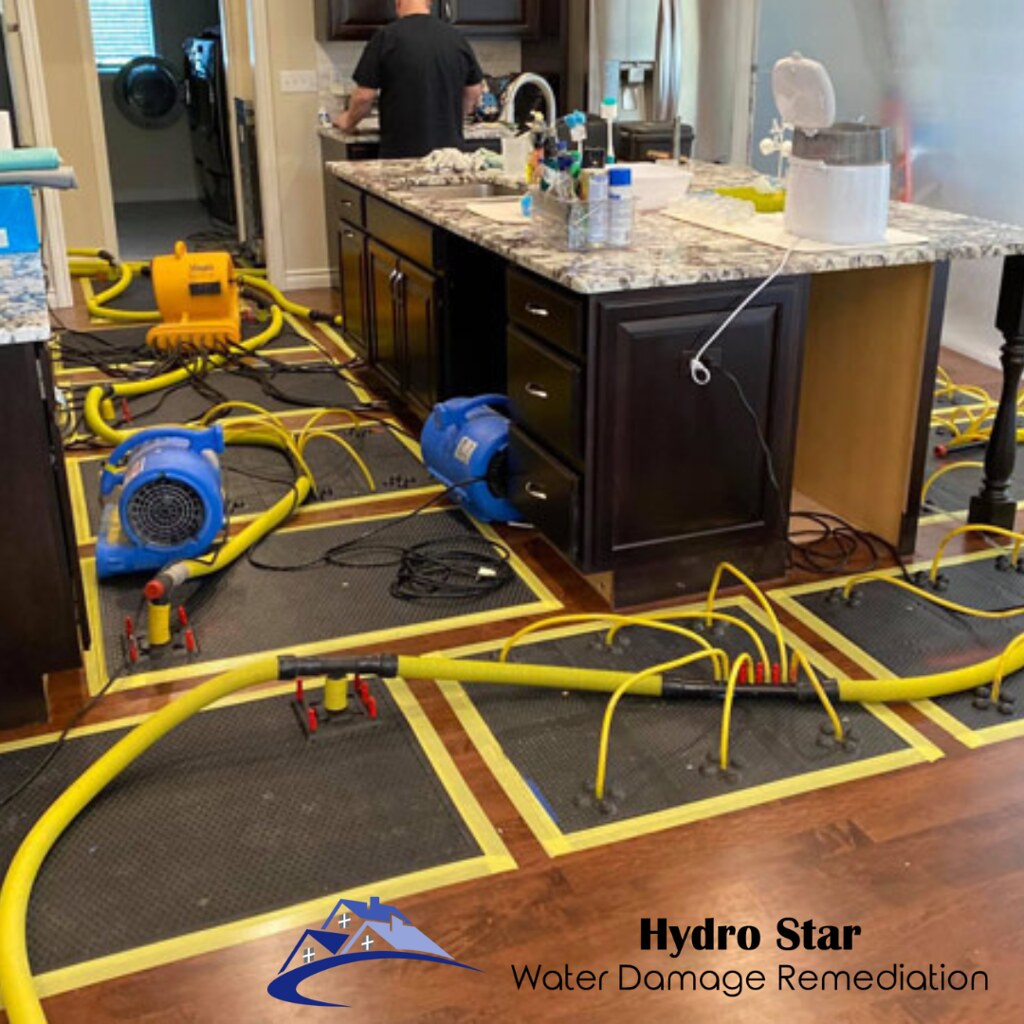 Expert Water Damage Restoration Service Expert water damag… Flickr