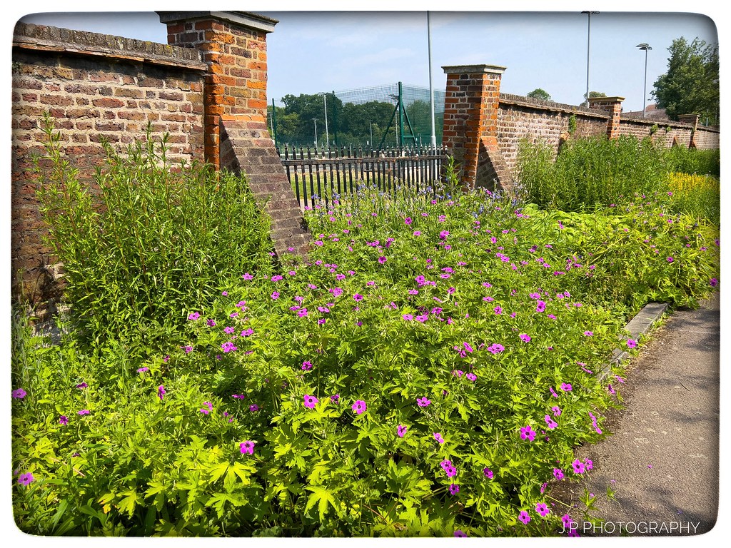 Todays walk around Broomfield Park. Jack Pourgourides Flickr