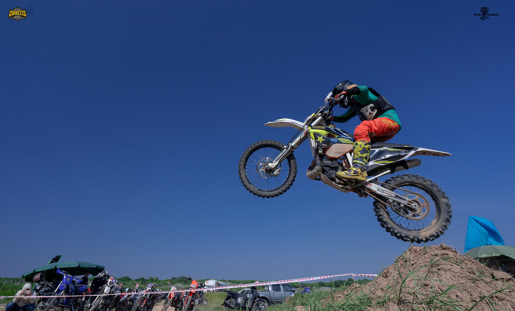 ICB03700 Iron Cobra Vietnam Flickr