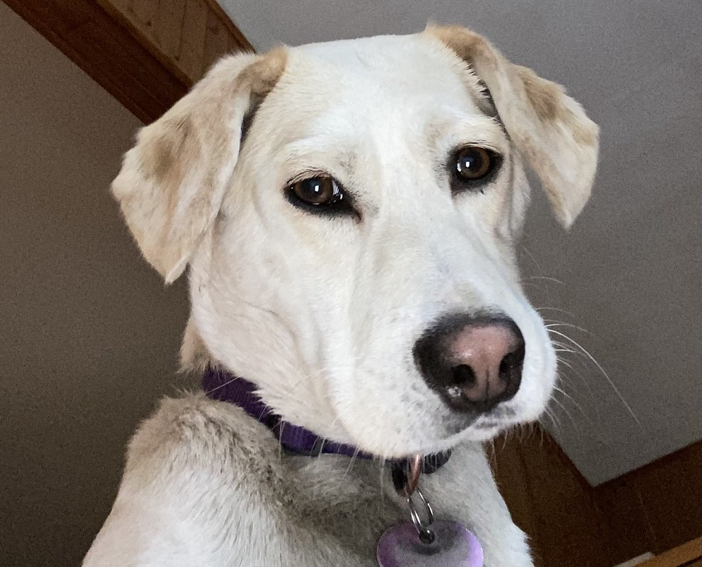 Untitled Paul Letellier Flickr