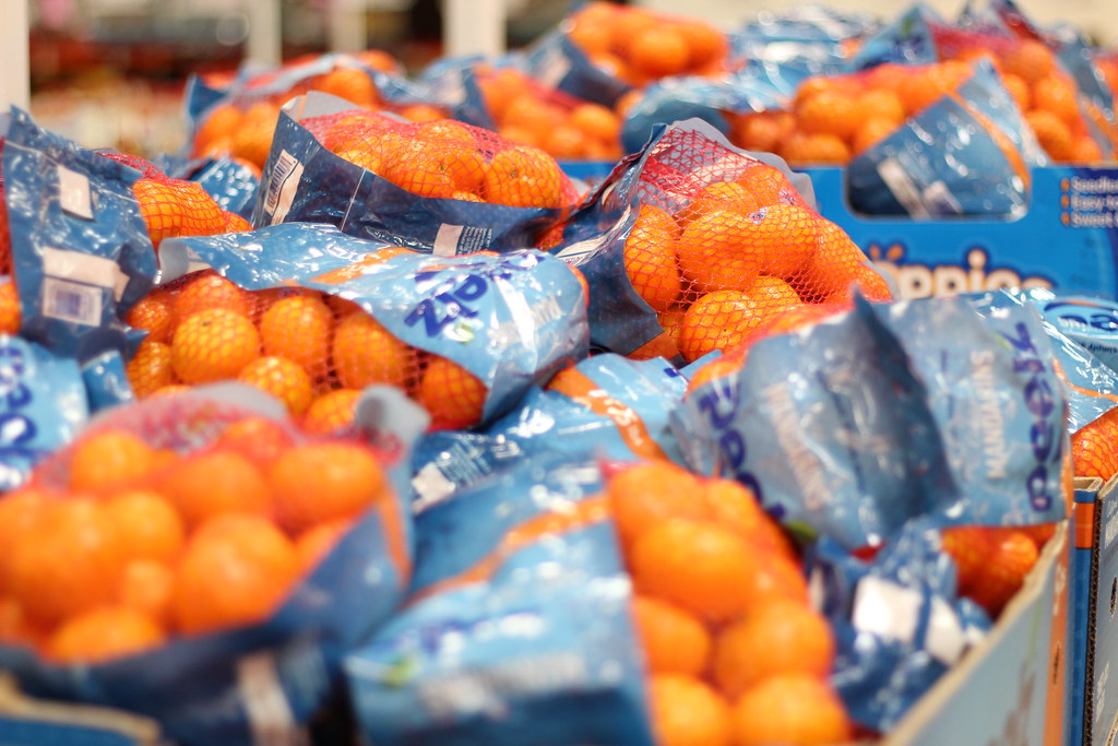 IMG_5569 Rose Long Flickr