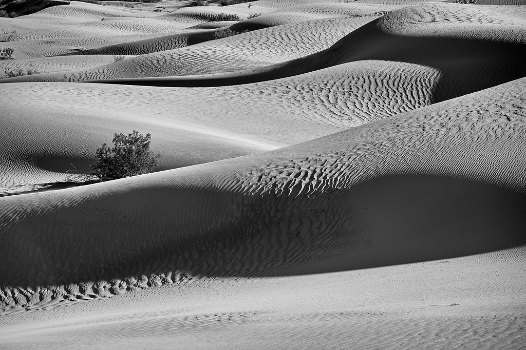 DUNES IN MONOCHROME MESQUITE FLAT SAND DUNES DEATH VALLE