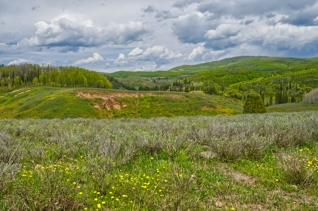 Buzzard gulch Kim Clemens Flickr