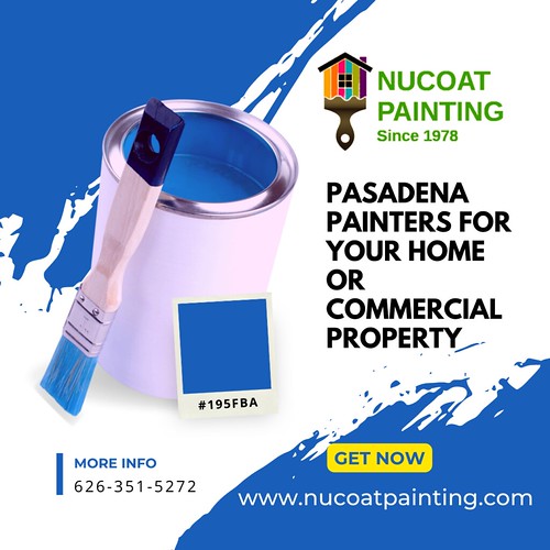 NuCoat Painting Flickr